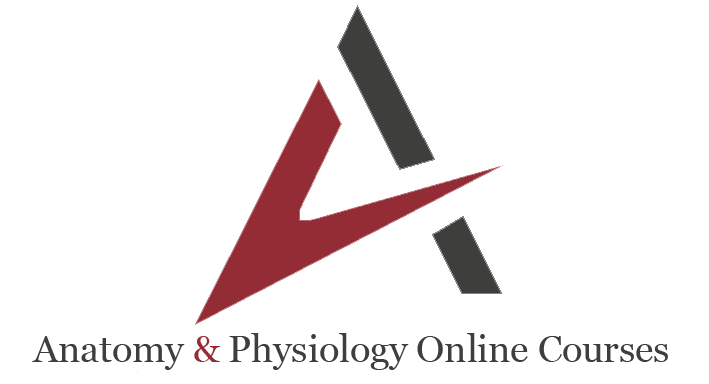 Anatomy and Physiology Online Courses Learners Portal
